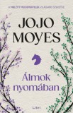 Libri Könyvkiadó Jojo Moyes: Álmok nyomában - könyv