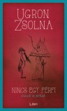 Libri Könyvkiadó Ugron Zsolna: Nincs egy férfi - könyv