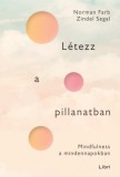 Libri Könyvkiadó Zindel Segal, Norman Farb: Létezz a pillanatban - könyv