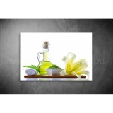 Liliom Vászonkép 042 sfs-042