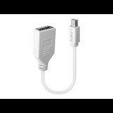 Lindy - DisplayPort adapter - Mini DisplayPort to DisplayPort - 15 cm (41021)
