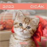 Lizzy Card Falinaptár lemez: cicák - 2022