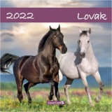 Lizzy Card Falinaptár lemez: Lovak - nagy