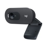 Logitech C505e HD Business webkamera, 720p, USB, fekete – 960-001372