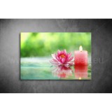 Lótuszvirág Vászonkép 015 sfs-015