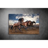 Lovak Vászonkép 001 áv-001