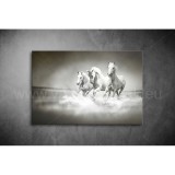 Lovak Vászonkép 010 áv-010