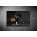 Lovak Vászonkép 021 áv-021