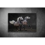 Lovak Vászonkép 024 áv-024