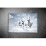 Lovak Vászonkép 053 áv-053
