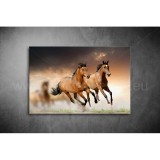 Lovak Vászonkép 054 áv-054