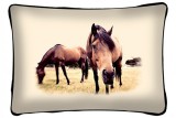 Lovas díszpárna, barna ló selfie