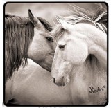 Lovas hűtőmágnes, fehér ló pár