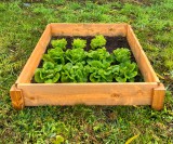 LSH ModulBox – Moduláris Magaságyás