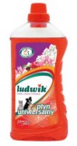 LUDWIK ÁLTALÁNOS TISZTÍTÓSZER 1L