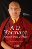 Lux Kiadó Khorca, Cerinnamgyal: A 17. Karmapa - Orgyen Trinli Dordzse - könyv