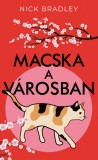 Macska a városban
