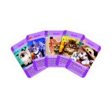 Macskák memóriakártya