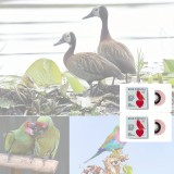 Madársíp Rózsaszín - 2 db - Madár síp