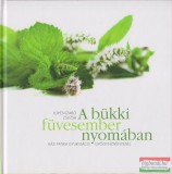 Magánkiadás Lopes-Szabó Zsuzsa, Szabó György - A bükki füvesember nyomában