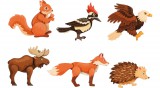 Mágneses puzzle erdei állatok 6 db