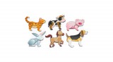 Mágneses puzzle háziállatok 6 db