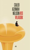 Magvető Könyvkiadó Caleb Azumah Nelson: Kis világok - könyv