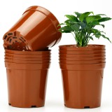 magyaroutlet KINGLAKE 12db 13,5 cm cserép