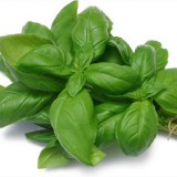 MAMA TEA BAZSALIKOM SZÁLAS 50G