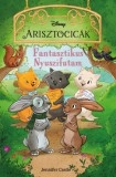 Manó könyvek Disney Arisztocicák - Fantasztikus Nyuszifutam