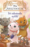 Manó könyvek Jennifer Castle: Disney - Arisztocicák - Itt cukrászda nyílik! - könyv