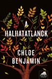 Maxim Könyvkiadó Chloe Benjamin: A halhatatlanok - könyv