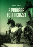 MCC Press Kft. Gali Máté: A próbára tett nemzet - könyv