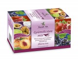MECSEK GYÜMÖLCSTEA MIX 2 20G
