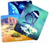 Media-Tech MT253 Basic Egérpad