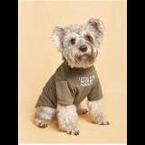 "Még mindig a szüleimmel élek" kutyapóló, barna, XL-es