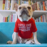 "Még mindig a szüleimmel élek" kutyapóló, piros, XXL-es