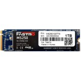Mega Electronics Fastro MS250 1TB PCIe x4 (3.0) M.2 2280 SSD (MS250-1TB) - SSD