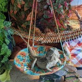 Menő hüllő függőágy és hinta