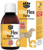 Mervue EliteFlex Forte Dog - Ízülettámogató szirup 150 ml