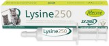 Mervue Lysine 250 paszta macskáknak 30 ml