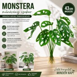 Mery style shop kft Monstera műnövény csokor gyökérkötegekkel, 43 cm (lukaslevelu-monster)