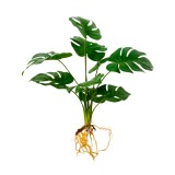 Mery style shop kft Monstera műnövény csokor gyökérkötegekkel 6 szárral, 42 cm