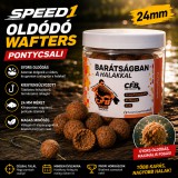 Merystyle CFB Speed1 oldódó wafters pontycsali 24mm - barna