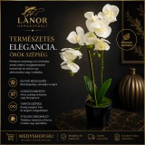 Merystyle Műanyag orchidea cserépben 55 cm - fehér