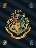 mese Harry Potter takaró Csíkos Logo