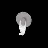 Metaltex Artic törölköző akasztó, tapadókoronggal (402731)