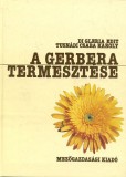 Mezőgazdasági A gerbera termesztése