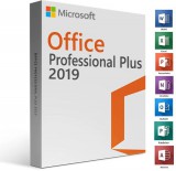 Microsoft Office Pro Plus 2019 79P-05729