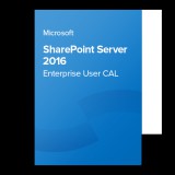 Microsoft SharePoint Server 2016 Enterprise User CAL, 76N-03787 elektronikus tanúsítvány